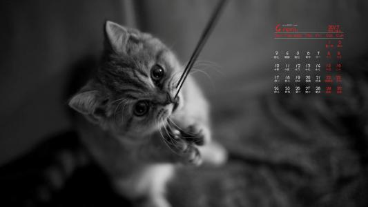 可爱卡通小猫咪高清图片手机壁纸第3张