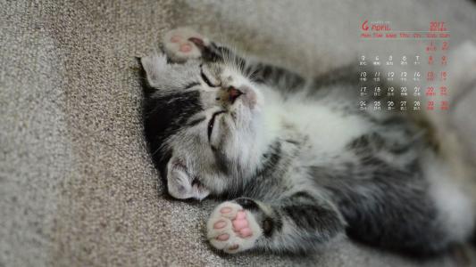 可爱卡通小猫咪高清图片手机壁纸第4张