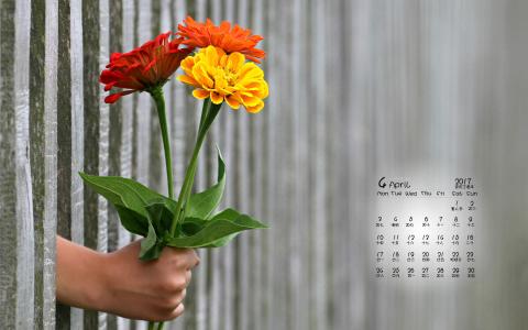 花束图片图片 _ 第(7)张