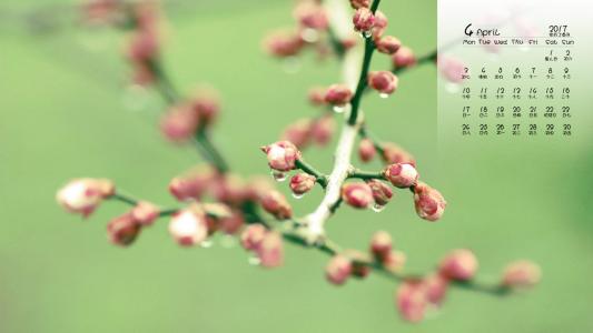 第3张