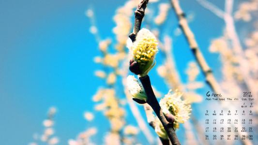 2017年4月春天春景好看的风景日历壁纸第6张
