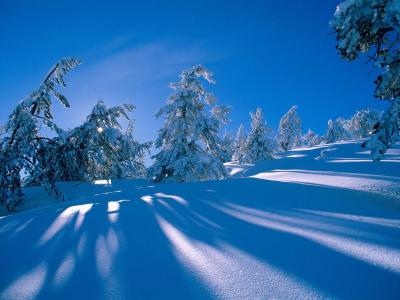 冬日雪景图片 _ 第(2)张