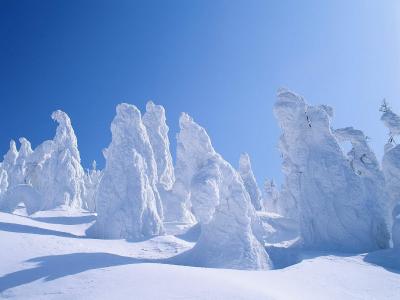 冬日雪景图片 _ 第(3)张