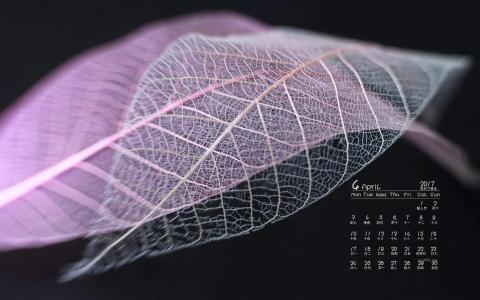 秋天的树叶风景摄影高清宽屏桌面壁纸第2张