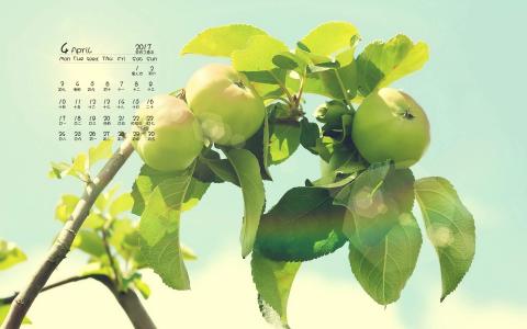 第0张