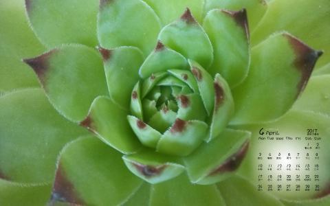 图片 _ 第(6)张