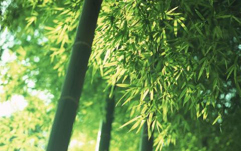 图片 _ 第(1)张