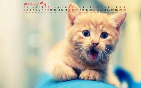 90后性感小猫咪写真第0张