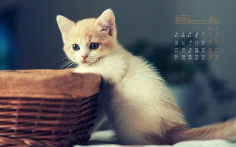 90后性感小猫咪写真第2张