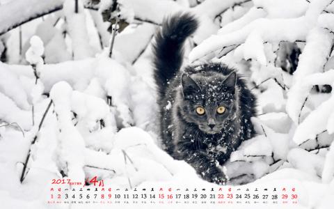 90后性感小猫咪写真第5张