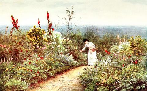 第2张