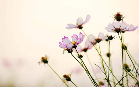 图片 _ 第(1)张