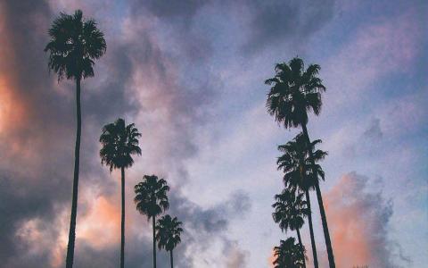 图片 _ 第(8)张