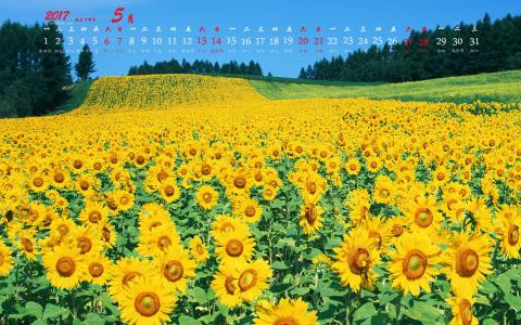 图片 _ 第(5)张