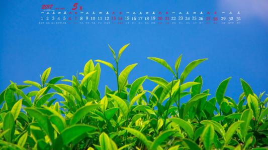 图片 _ 第(4)张