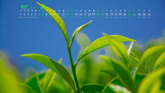 图片 _ 第(10)张
