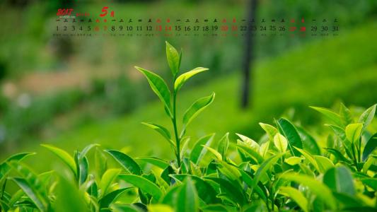 图片 _ 第(12)张