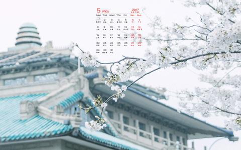 2017年5月樱花风景日历壁纸第0张