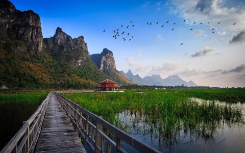 春天自然田园风景唯美图片高清电脑桌面壁纸第2张