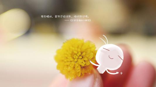第0张