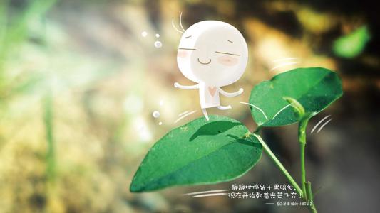 美丽风景图图片 _ 第(5)张