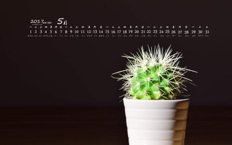 第3张