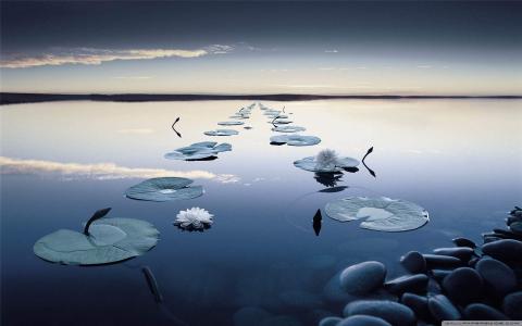 图片 _ 第(3)张