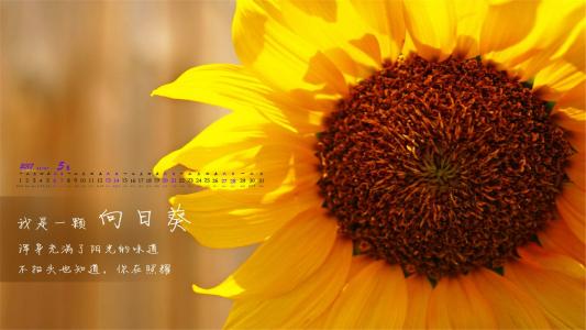 图片 _ 第(1)张