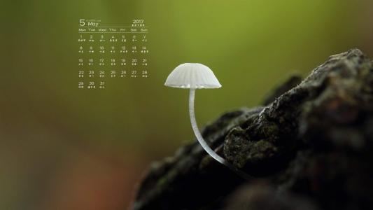 图片 _ 第(4)张