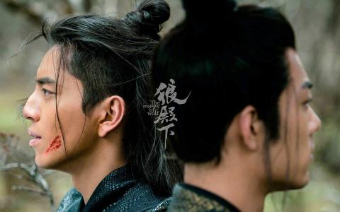 狼图片图片 _ 第(6)张