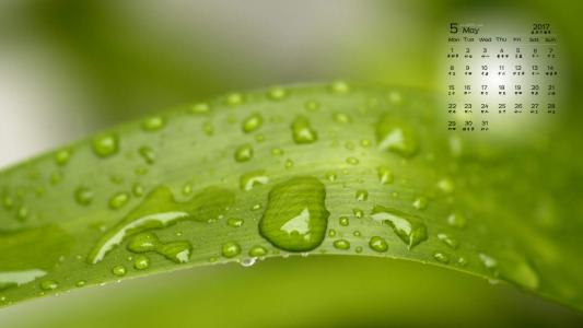 水滴图片 _ 第(3)张