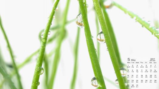 水滴图片 _ 第(6)张