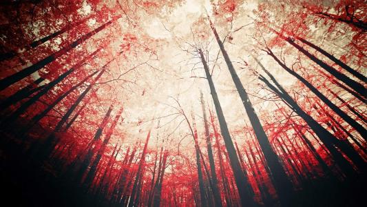 自然山水美景高清电脑桌面壁纸图片大全(二)第2张