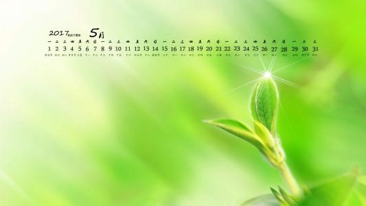 生机盎然的绿色叶子护眼图片桌面壁纸第6张
