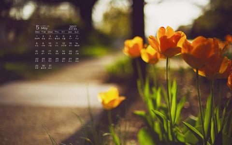 图片 _ 第(4)张