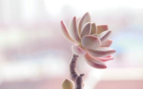 第0张
