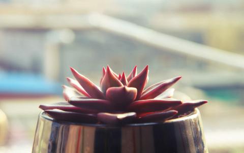 图片 _ 第(4)张