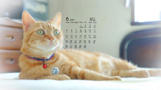 高清雨水水珠2022年6月份日历桌面壁纸护眼绿色水滴第5张