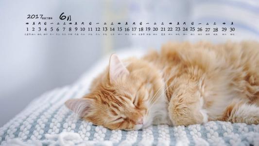 高清雨水水珠2022年6月份日历桌面壁纸护眼绿色水滴第6张