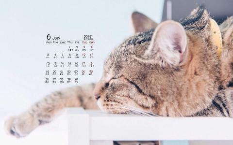 可爱卡通小猫咪高清图片手机壁纸第4张