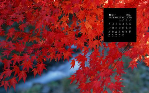 2017年6月清新绿色叶子上的露珠高清电脑日历壁纸第4张