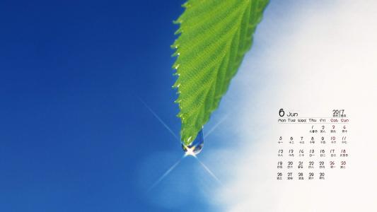 第0张