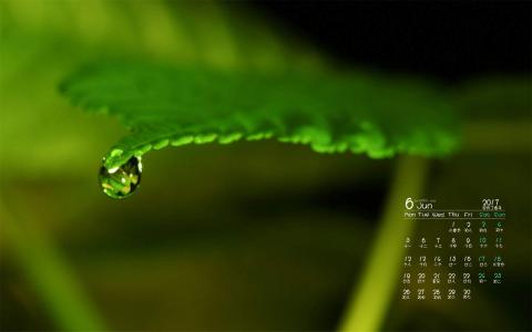 水滴图片 _ 第(8)张