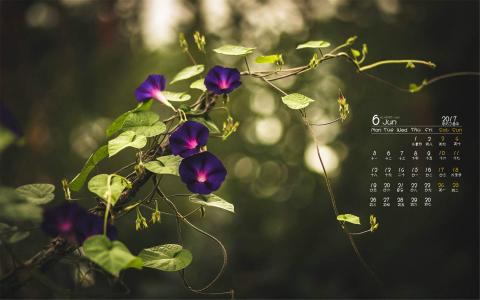 图片 _ 第(4)张