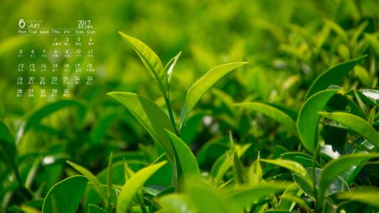 图片 _ 第(2)张