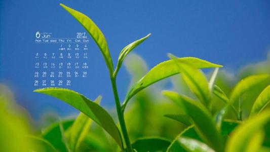 图片 _ 第(7)张