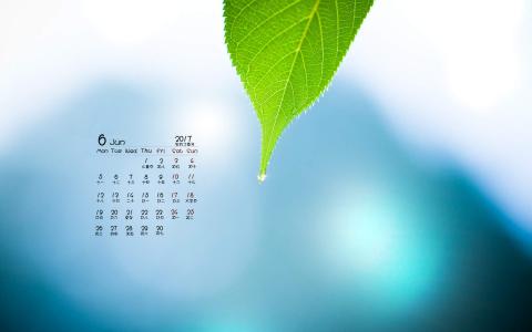 清新粉嫩的樱花图片桌面壁纸第3张