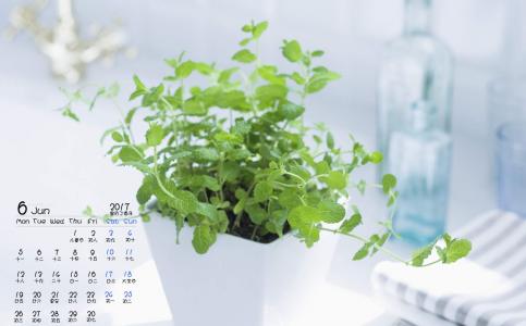 秋日日系小清新风景高清手机壁纸第0张