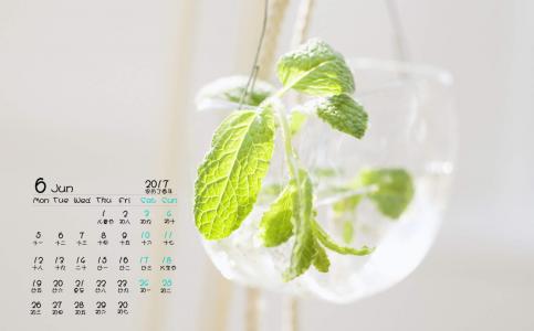 秋日日系小清新风景高清手机壁纸第3张