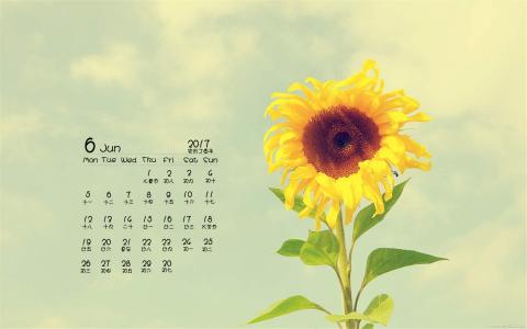 2017年6月美丽的向日葵桌面日历壁纸第1张